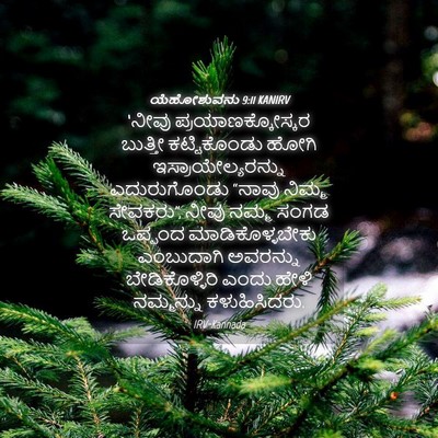 Picture 04 - ಯೆಹೋಶುವನು 9:11 KANIRV - ‘ನೀವು - Bible Verse Picture