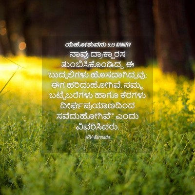 Picture 04 - ಯೆಹೋಶುವನು 9:13 KANIRV - ನಾವು ದ್ರಾಕ್ಷಾರಸ - Bible Verse Picture