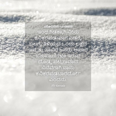 Picture 04 - ಯೋನನು 4:11 KANIRV - ಇಂಥ ಗಿಡಕ್ಕಾಗಿ - Bible Verse Picture