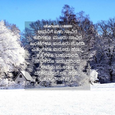 Picture 04 - ಯೋಬನು 1:3 KANIRV - ಅವನಿಗೆ ಏಳು ಸಾವಿರ - Bible Verse Picture