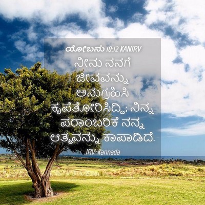 Picture 04 - ಯೋಬನು 10:12 KANIRV - ನೀನು ನನಗೆ - Bible Verse Picture