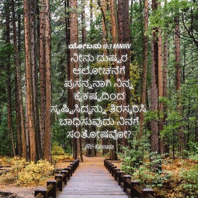 Picture 04 - ಯೋಬನು 10:3 KANIRV - ನೀನು ದುಷ್ಟರ - Bible Verse Picture