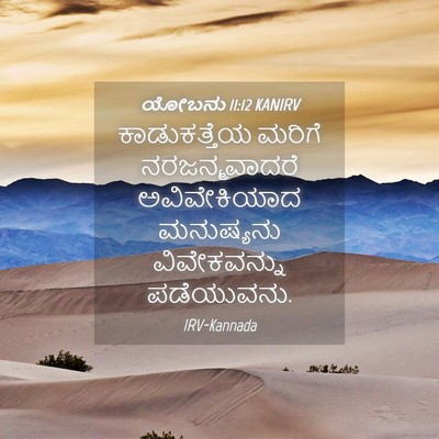 Picture 04 - ಯೋಬನು 11:12 KANIRV - ಕಾಡುಕತ್ತೆಯ ಮರಿಗೆ - Bible Verse Picture
