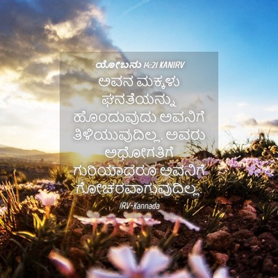 Picture 04 - ಯೋಬನು 14:21 KANIRV - ಅವನ ಮಕ್ಕಳು - Bible Verse Picture