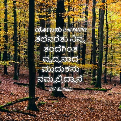 Picture 04 - ಯೋಬನು 15:10 KANIRV - ತಲೆನರೆತು ನಿನ್ನ - Bible Verse Picture