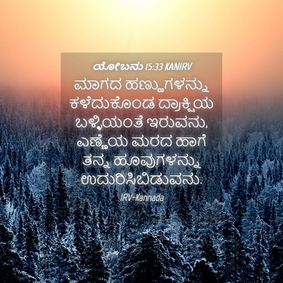 Picture 04 - ಯೋಬನು 15:33 KANIRV - ಮಾಗದ ಹಣ್ಣುಗಳನ್ನು - Bible Verse Picture