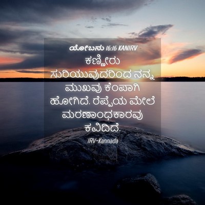 Picture 04 - ಯೋಬನು 16:16 KANIRV - ಕಣ್ಣೀರು - Bible Verse Picture