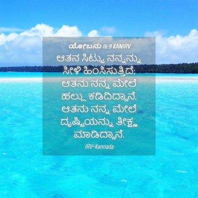 Picture 04 - ಯೋಬನು 16:9 KANIRV - ಆತನ ಸಿಟ್ಟು - Bible Verse Picture