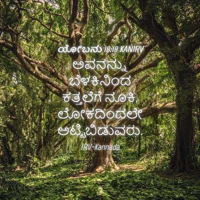 Picture 04 - ಯೋಬನು 18:18 KANIRV - ಅವನನ್ನು ಬೆಳಕಿನಿಂದ - Bible Verse Picture