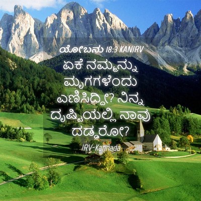Picture 04 - ಯೋಬನು 18:3 KANIRV - ಏಕೆ ನಮ್ಮನ್ನು - Bible Verse Picture