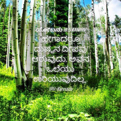 Picture 04 - ಯೋಬನು 18:5 KANIRV - ಹೇಗಾದರೂ ದುಷ್ಟನ - Bible Verse Picture