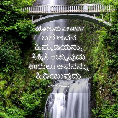Picture 04 - ಯೋಬನು 18:9 KANIRV - ಬಲೆ ಅವನ - Bible Verse Picture