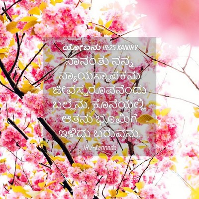 Picture 04 - ಯೋಬನು 19:25 KANIRV - ನಾನಂತು ನನ್ನ - Bible Verse Picture