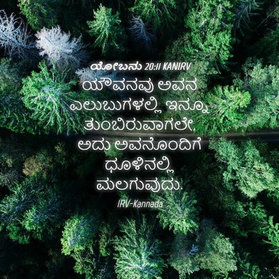 Picture 04 - ಯೋಬನು 20:11 KANIRV - ಯೌವನವು ಅವನ - Bible Verse Picture