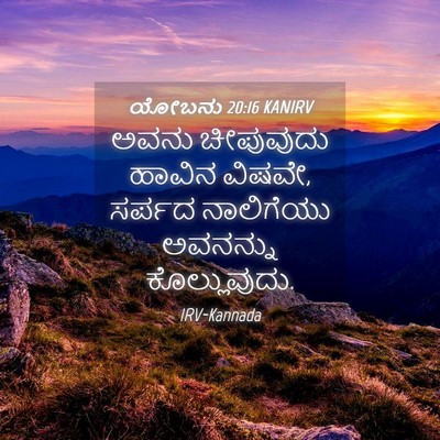 Picture 04 - ಯೋಬನು 20:16 KANIRV - ಅವನು ಚೀಪುವುದು - Bible Verse Picture