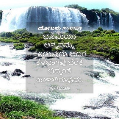 Picture 04 - ಯೋಬನು 28:5 KANIRV - ಭೂಮಿಯು ಅನ್ನವನ್ನು - Bible Verse Picture