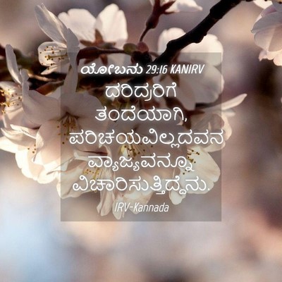 Picture 04 - ಯೋಬನು 29:16 KANIRV - ದರಿದ್ರರಿಗೆ - Bible Verse Picture