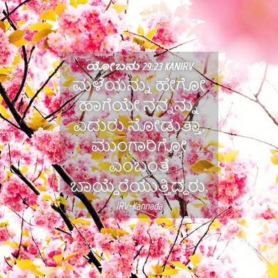 Picture 04 - ಯೋಬನು 29:23 KANIRV - ಮಳೆಯನ್ನು ಹೇಗೋ - Bible Verse Picture