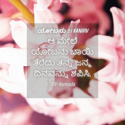 Picture 04 - ಯೋಬನು 3:1 KANIRV - ಆ ಮೇಲೆ ಯೋಬನು ಬಾಯಿ - Bible Verse Picture