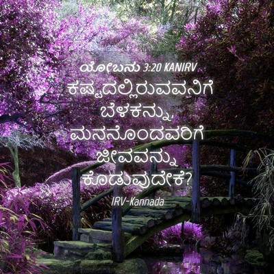Picture 04 - ಯೋಬನು 3:20 KANIRV -  - Bible Verse Picture