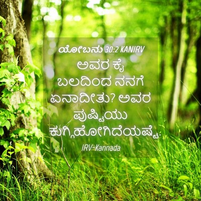 Picture 04 - ಯೋಬನು 30:2 KANIRV - ಅವರ ಕೈ ಬಲದಿಂದ ನನಗೆ - Bible Verse Picture