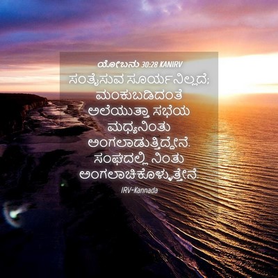 Picture 04 - ಯೋಬನು 30:28 KANIRV - ಸಂತೈಸುವ - Bible Verse Picture