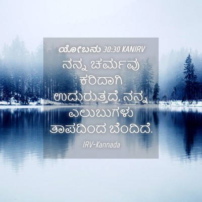 Picture 04 - ಯೋಬನು 30:30 KANIRV - ನನ್ನ ಚರ್ಮವು - Bible Verse Picture