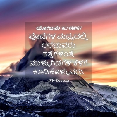 Picture 04 - ಯೋಬನು 30:7 KANIRV - ಪೊದೆಗಳ ಮಧ್ಯದಲ್ಲಿ - Bible Verse Picture
