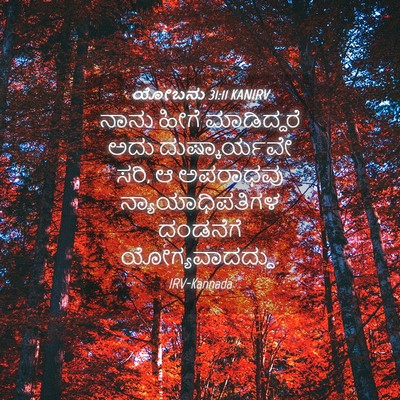 Picture 04 - ಯೋಬನು 31:11 KANIRV - ನಾನು ಹೀಗೆ - Bible Verse Picture