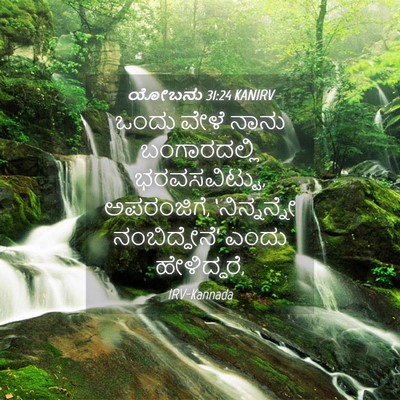 Picture 04 - ಯೋಬನು 31:24 KANIRV - ಒಂದು ವೇಳೆ ನಾನು - Bible Verse Picture