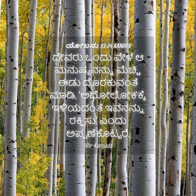 Picture 04 - ಯೋಬನು 33:24 KANIRV - ದೇವರು ಒಂದು ವೇಳೆ ಆ - Bible Verse Picture