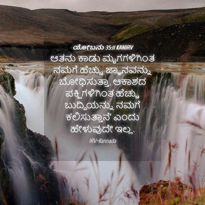Picture 04 - ಯೋಬನು 35:11 KANIRV - ಆತನು ಕಾಡು - Bible Verse Picture