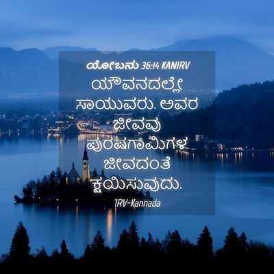 Picture 04 - ಯೋಬನು 36:14 KANIRV - ಯೌವನದಲ್ಲೇ - Bible Verse Picture
