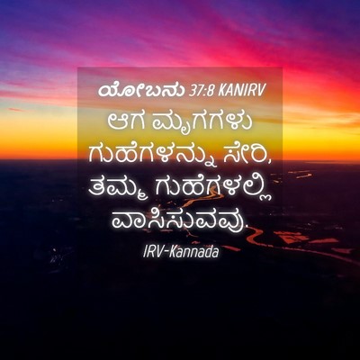 Picture 04 - ಯೋಬನು 37:8 KANIRV - ಆಗ ಮೃಗಗಳು - Bible Verse Picture