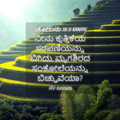 Picture 04 - ಯೋಬನು 38:31 KANIRV - ನೀನು ಕೃತ್ತಿಕೆಯ - Bible Verse Picture
