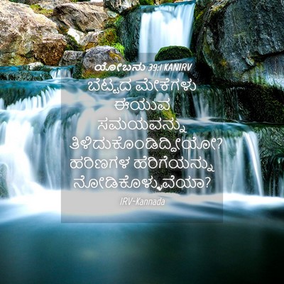 Picture 04 - ಯೋಬನು 39:1 KANIRV - ಬೆಟ್ಟದ ಮೇಕೆಗಳು - Bible Verse Picture