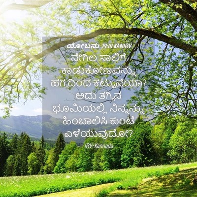 Picture 04 - ಯೋಬನು 39:10 KANIRV - ನೇಗಿಲ ಸಾಲಿಗೆ - Bible Verse Picture