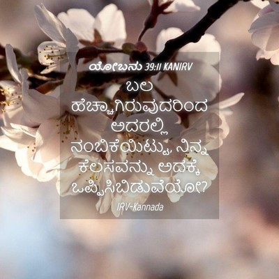 Picture 04 - ಯೋಬನು 39:11 KANIRV - ಬಲ - Bible Verse Picture