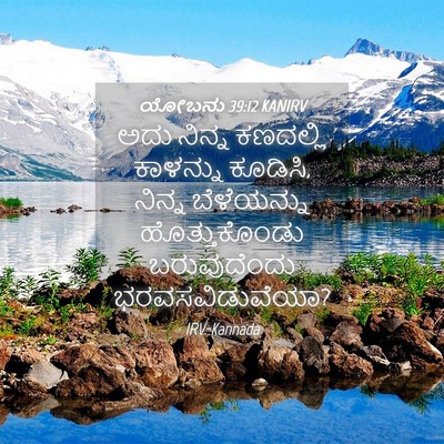 Picture 04 - ಯೋಬನು 39:12 KANIRV - ಅದು ನಿನ್ನ ಕಣದಲ್ಲಿ - Bible Verse Picture
