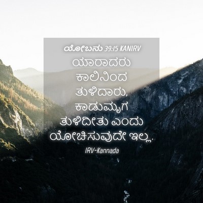 Picture 04 - ಯೋಬನು 39:15 KANIRV - ಯಾರಾದರು ಕಾಲಿನಿಂದ - Bible Verse Picture