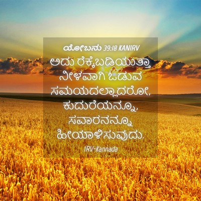Picture 04 - ಯೋಬನು 39:18 KANIRV - ಅದು - Bible Verse Picture