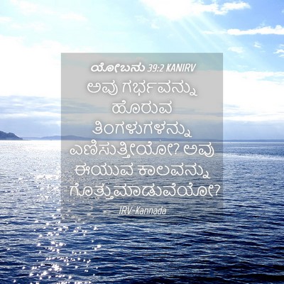 Picture 04 - ಯೋಬನು 39:2 KANIRV - ಅವು ಗರ್ಭವನ್ನು - Bible Verse Picture
