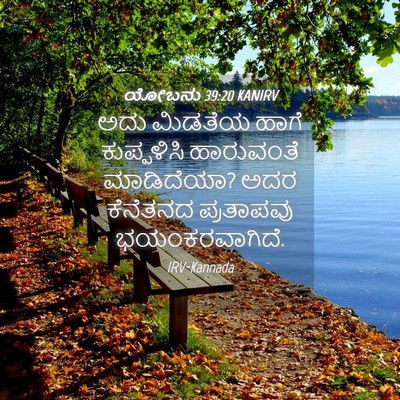 Picture 04 - ಯೋಬನು 39:20 KANIRV - ಅದು ಮಿಡತೆಯ ಹಾಗೆ - Bible Verse Picture
