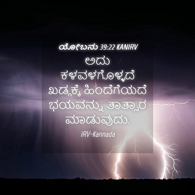 Picture 04 - ಯೋಬನು 39:22 KANIRV - ಅದು ಕಳವಳಗೊಳ್ಳದೆ - Bible Verse Picture
