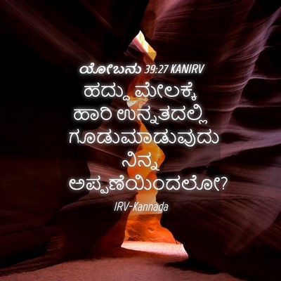 Picture 04 - ಯೋಬನು 39:27 KANIRV - ಹದ್ದು ಮೇಲಕ್ಕೆ - Bible Verse Picture