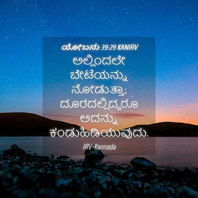 Picture 04 - ಯೋಬನು 39:29 KANIRV - ಅಲ್ಲಿಂದಲೇ - Bible Verse Picture