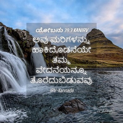 Picture 04 - ಯೋಬನು 39:3 KANIRV - ಅವು ಮರಿಗಳನ್ನು - Bible Verse Picture