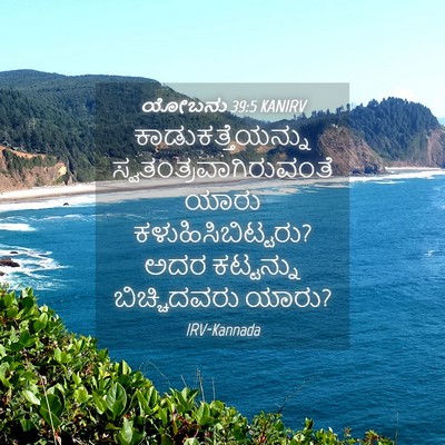 Picture 04 - ಯೋಬನು 39:5 KANIRV - ಕಾಡುಕತ್ತೆಯನ್ನು - Bible Verse Picture