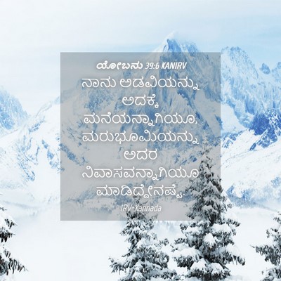 Picture 04 - ಯೋಬನು 39:6 KANIRV - ನಾನು ಅಡವಿಯನ್ನು - Bible Verse Picture