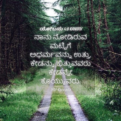 Picture 04 - ಯೋಬನು 4:8 KANIRV - ನಾನು ನೋಡಿರುವ - Bible Verse Picture